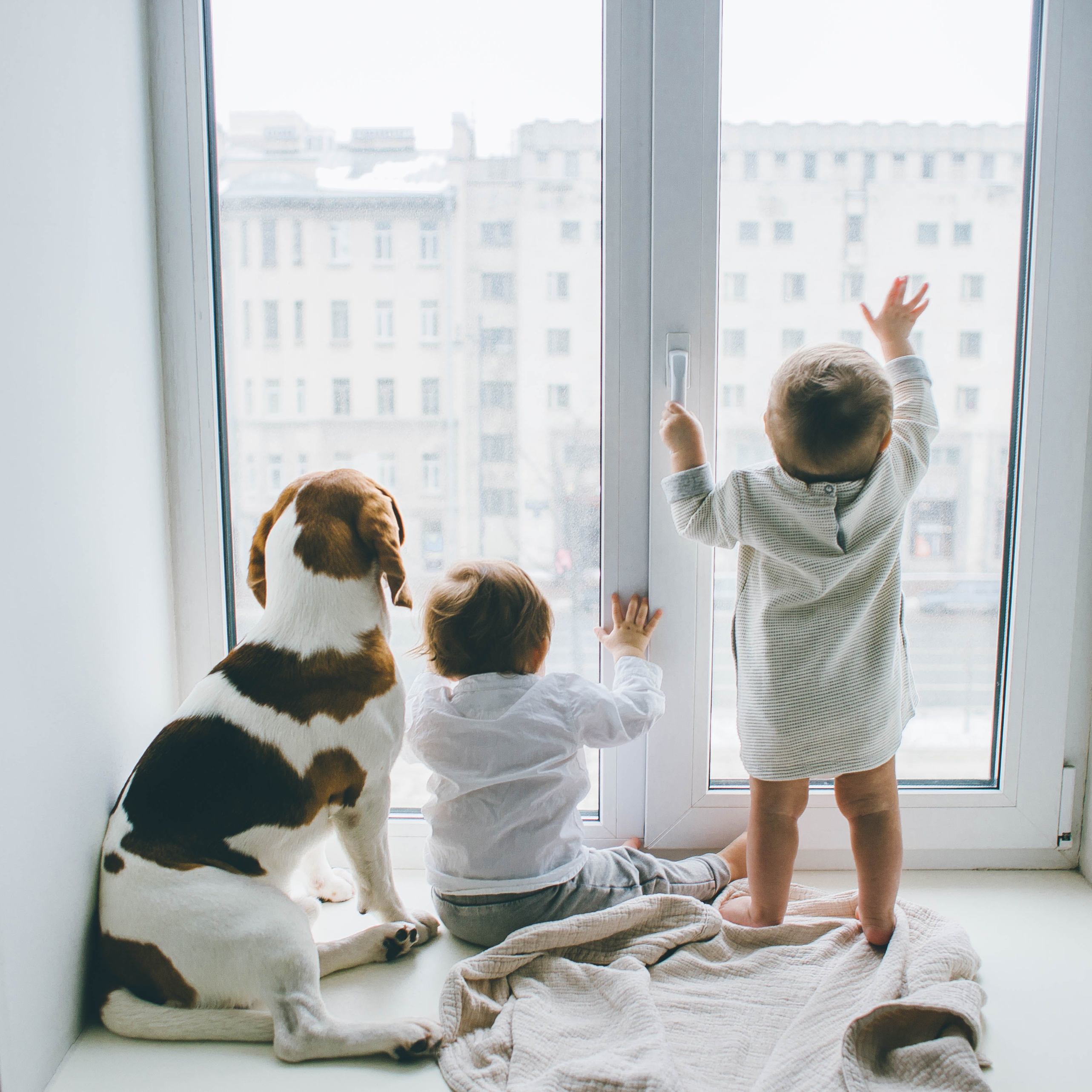 Children enjoying view out the windows